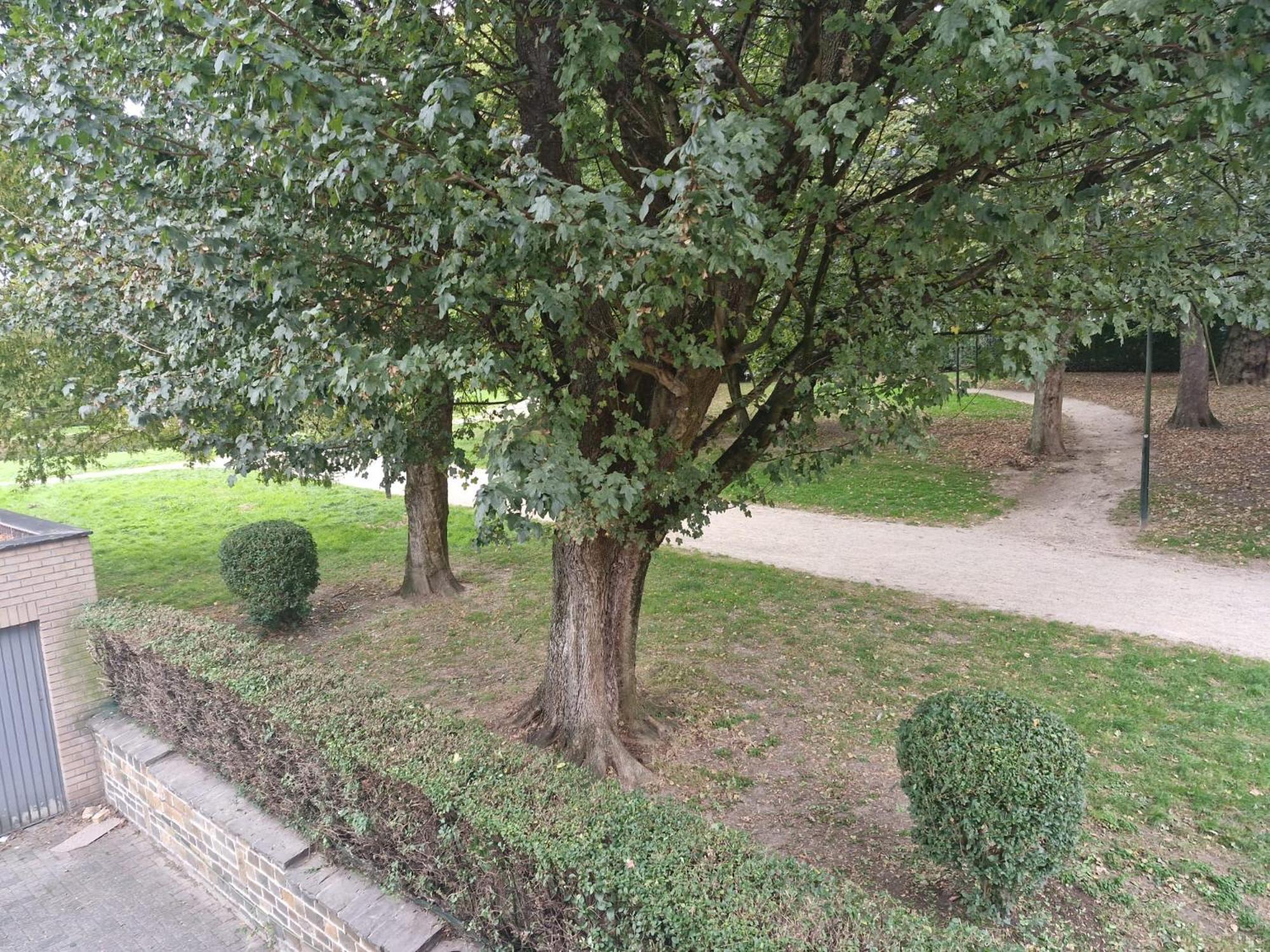 Apartament Luxe Bruxelles Zewnętrze zdjęcie
